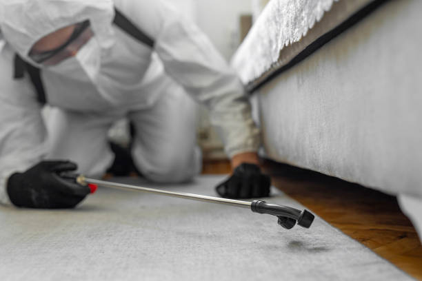Professional Termite Control technician working in Beaver, OK