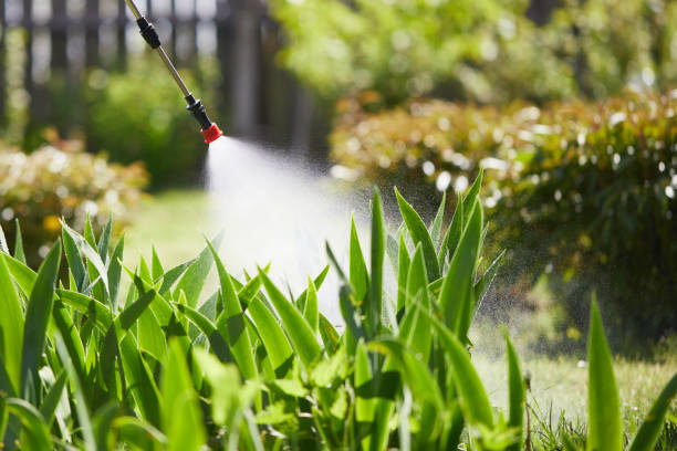 24/7 Emergency Termite Control experts in Beaver, OK